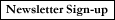 newsletter button