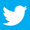Twitter Icon
